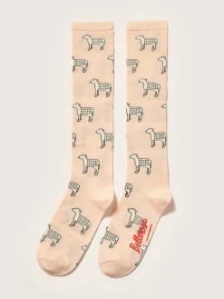 Bellerose Bagri Kniekousen Hot