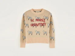 Bellerose Grebe Ronde Hals Trui Outlet